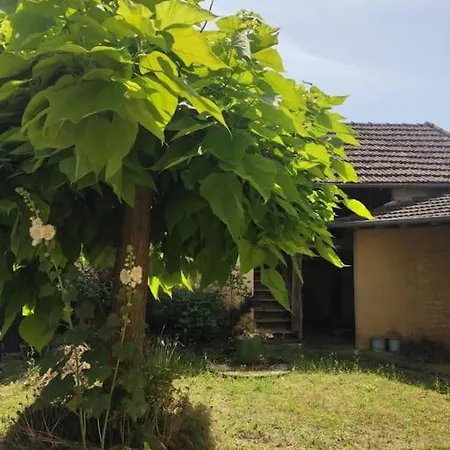 بيت للعطل Maison Perigourdine A Lascaux مونتيناك